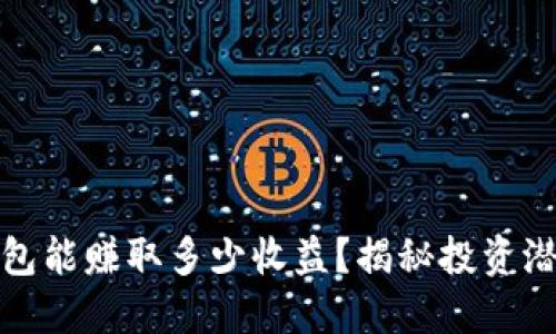 比特币钱包能赚取多少收益？揭秘投资潜力与风险