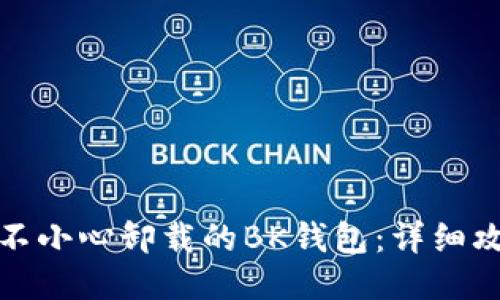 如何找回不小心卸载的BK钱包：详细攻略与技巧