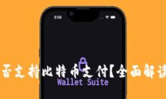 苹果钱包能否支持比特币支付？全面解读与未来