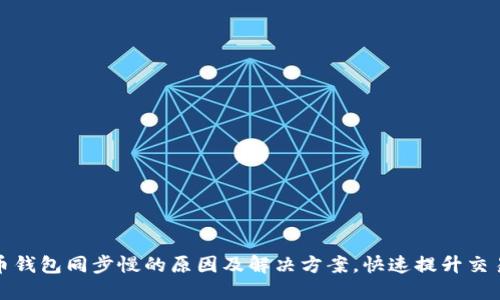 虚拟币钱包同步慢的原因及解决方案，快速提升交易体验