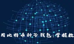 如何安全创建和使用比特币种子钱包：掌握数字