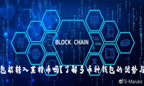 比特币钱包能转入莱特币吗？了解多币种钱包的优势与使用技巧