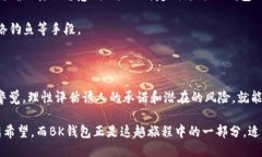 为何安装BK钱包会提示风险？在现代社会，数字钱