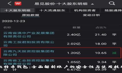 比特币钱包：全面解析账户的安全性与使用技巧