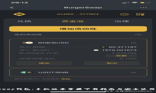 BitKeep钱包：手机版本苹果下载指南与安全使用技巧