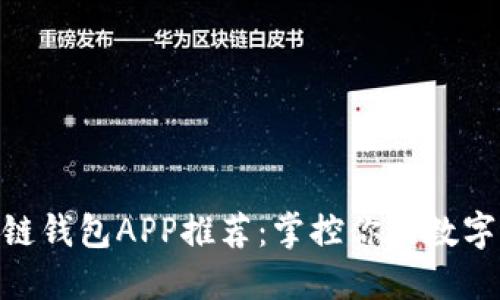 最强虚拟币区块链钱包APP推荐：掌控你的数字资产安全与便捷