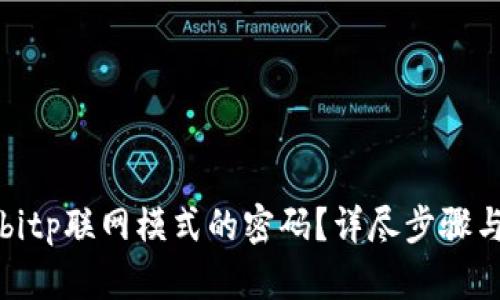 如何设置bitp联网模式的密码？详尽步骤与技巧分享