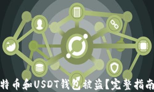 
如何防止比特币和USDT钱包被盗？完整指南与安全建议