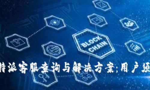 B特派客服查询与解决方案：用户须知