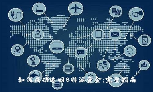 如何成功追回B特派资金：完整指南