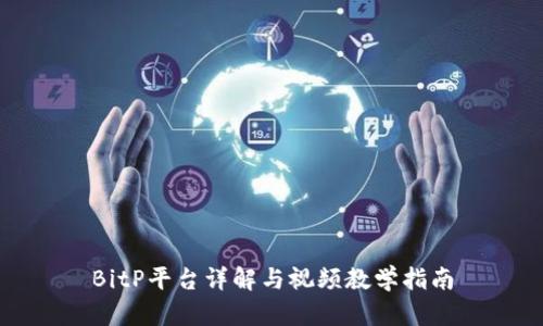 BitP平台详解与视频教学指南
