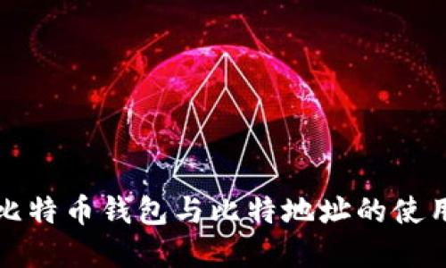深入了解比特币钱包与比特地址的使用与安全性