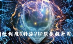 如何有效利用B特派VIP服务