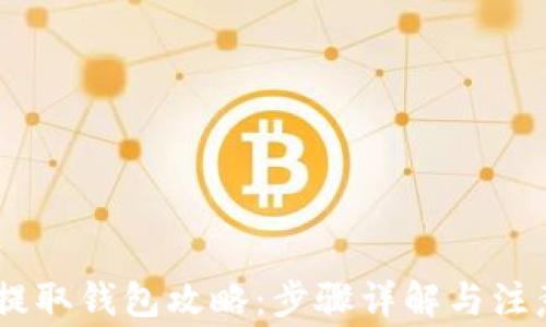 
USDT提取钱包攻略：步骤详解与注意事项