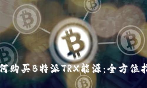 如何购买B特派TRX能源：全方位指南