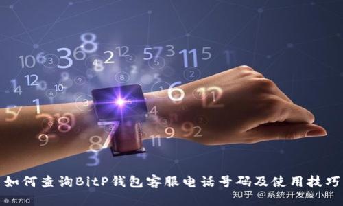 如何查询BitP钱包客服电话号码及使用技巧