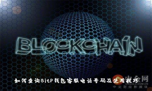 如何查询BitP钱包客服电话号码及使用技巧