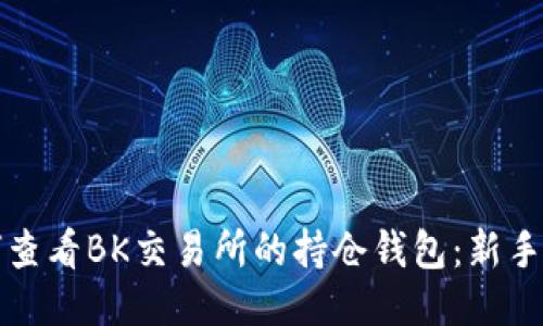 如何查看BK交易所的持仓钱包：新手指南