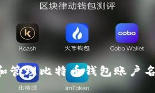 如何选择和管理比特币钱包账户名：实用指南