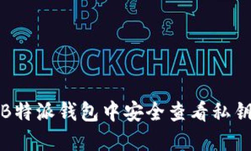 如何在B特派钱包中安全查看私钥和密码