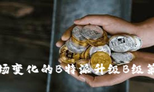 适应市场变化的B特派升级B级策略解析