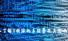 深入了解B特派的手续费及