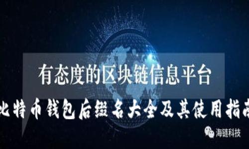 比特币钱包后缀名大全及其使用指南