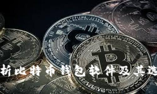 全面解析比特币钱包软件及其选择指南