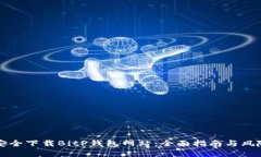 如何安全下载BitP钱包网站