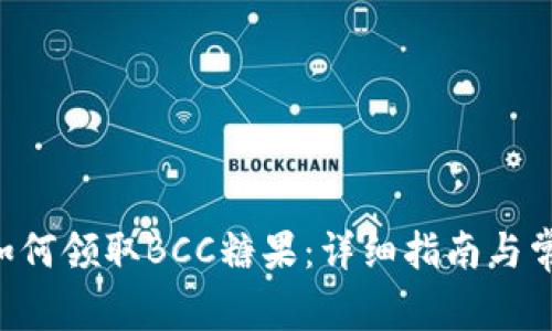 B特派钱包如何领取BCC糖果：详细指南与常见问题解答