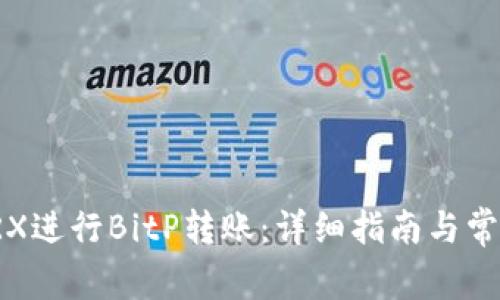 如何使用TRX进行BitP转账：详细指南与常见问题解答