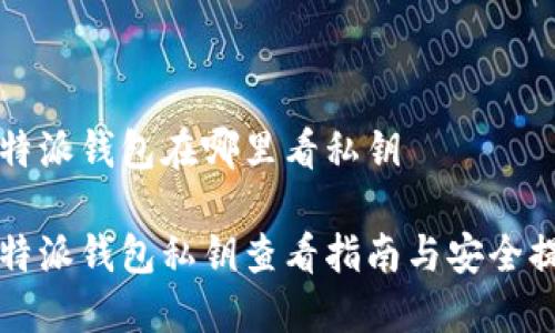 比特派钱包在哪里看私钥

比特派钱包私钥查看指南与安全提示
