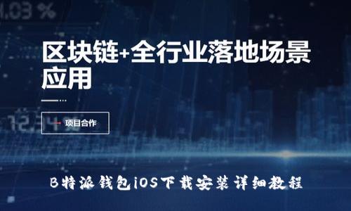B特派钱包iOS下载安装详细教程