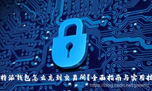 比特派钱包怎么充到交易所？全面指南与实用技巧