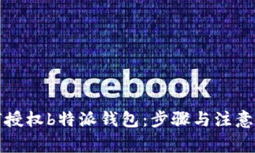 如何授权b特派钱包：步骤与注意事项