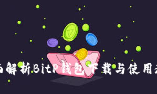 全面解析BitP钱包下载与使用教程