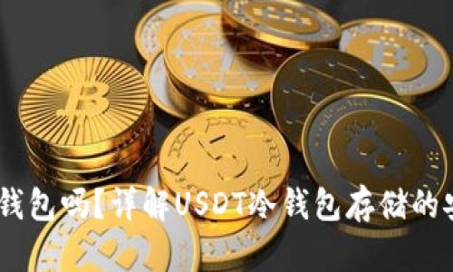 USDT可以放在冷钱包吗？详解USDT冷钱包存储的安全性与操作指南