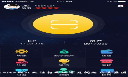 解决BitP网站无法打开的常见问题及其原因分析