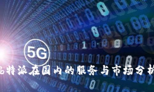 b特派在国内的服务与市场分析