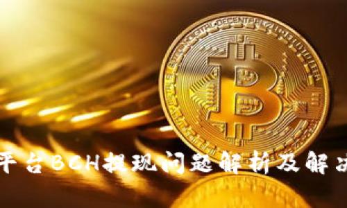 BitP平台BCH提现问题解析及解决方案