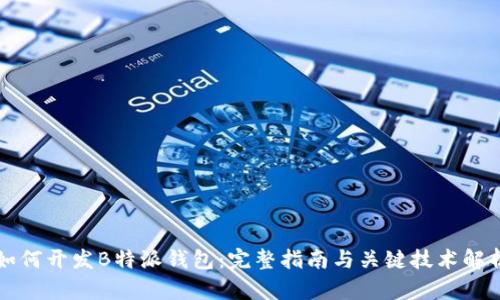 如何开发B特派钱包：完整指南与关键技术解析