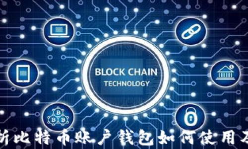 
全面解析比特币账户钱包如何使用及安全性