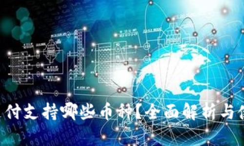 B特派支付支持哪些币种？全面解析与使用指南