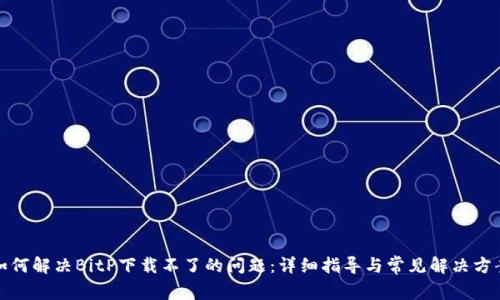 如何解决BitP下载不了的问题：详细指导与常见解决方案