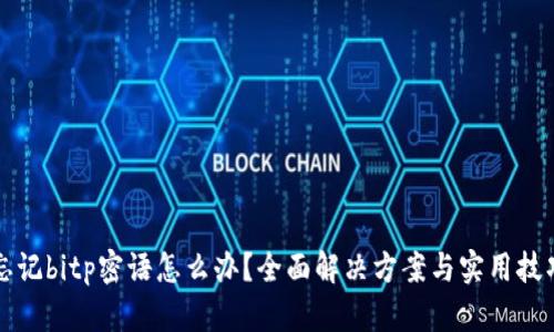 忘记bitp密语怎么办？全面解决方案与实用技巧
