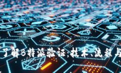 深入了解B特派验证：技术
