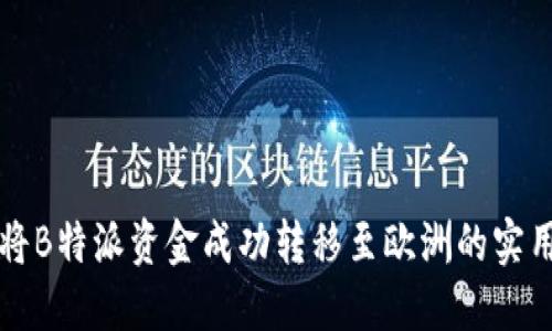 如何将B特派资金成功转移至欧洲的实用指南