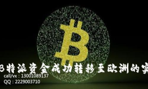 如何将B特派资金成功转移至欧洲的实用指南
