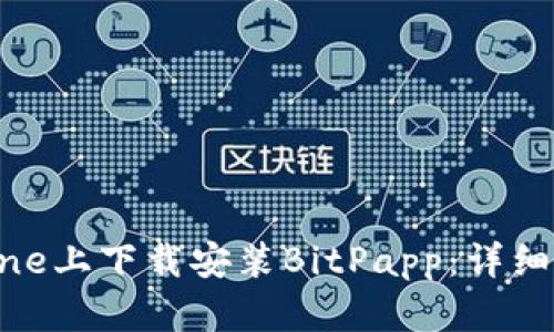 如何在iPhone上下载安装BitPapp：详细指南与步骤