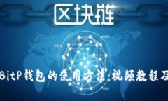 全面解析BitP钱包的使用方